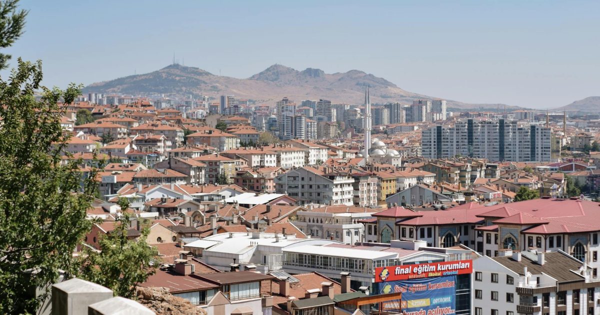 ankara son dakika - Berna via Pexels