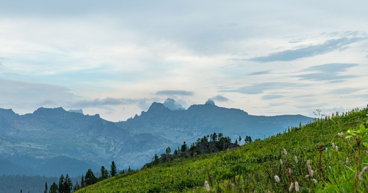seda sayan - Виктор Соломоник via Pexels